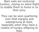Barn owls are nocturnal hunters,